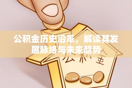平原公积金历史沿革，解读其发展脉络与未来趋势