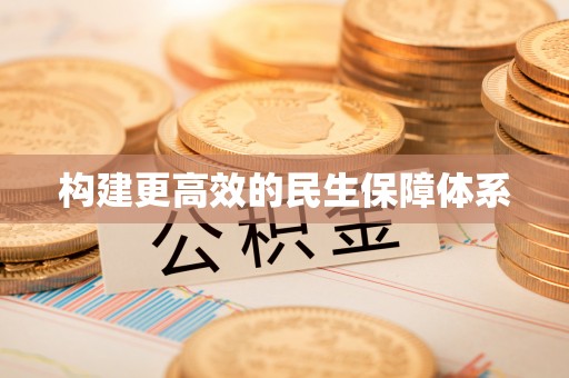 平原构建更高效的民生保障体系
