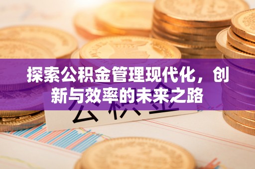 平原探索公积金管理现代化，创新与效率的未来之路