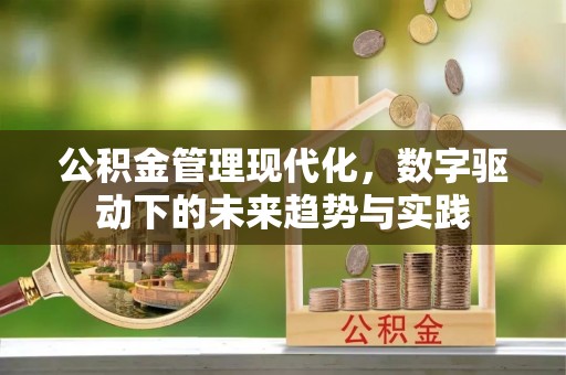 平原公积金管理现代化，数字驱动下的未来趋势与实践