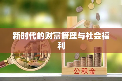 平原新时代的财富管理与社会福利