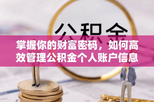 平原掌握你的财富密码，如何高效管理公积金个人账户信息