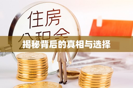 平原揭秘背后的真相与选择