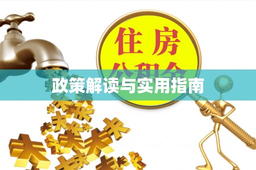 平原政策解读与实用指南