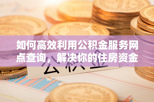 平原如何高效利用公积金服务网点查询，解决你的住房资金难题
