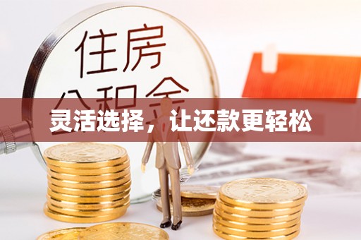 平原灵活选择，让还款更轻松