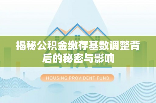 平原揭秘公积金缴存基数调整背后的秘密与影响