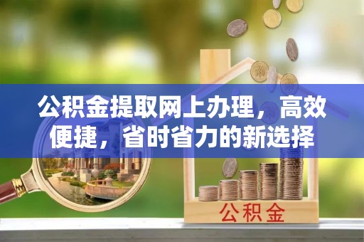平原公积金提取网上办理，高效便捷，省时省力的新选择