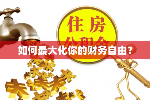 平原如何最大化你的财务自由？