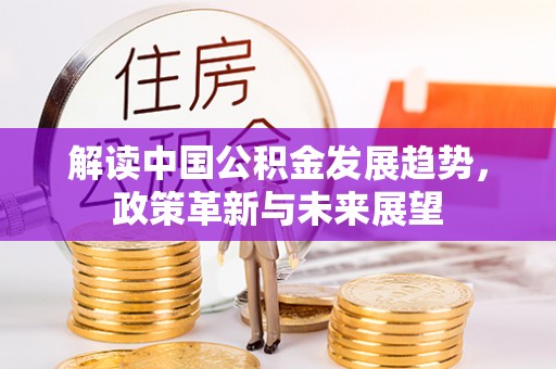 平原解读中国公积金发展趋势，政策革新与未来展望