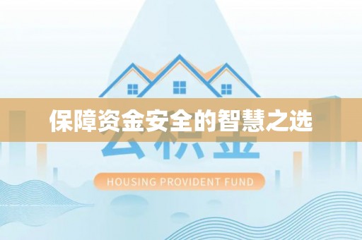 平原保障资金安全的智慧之选