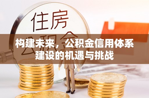 平原构建未来，公积金信用体系建设的机遇与挑战
