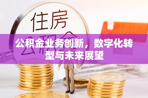 平原公积金业务创新，数字化转型与未来展望