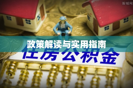 平原政策解读与实用指南