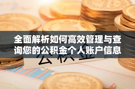 平原全面解析如何高效管理与查询您的公积金个人账户信息