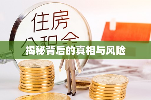平原揭秘背后的真相与风险