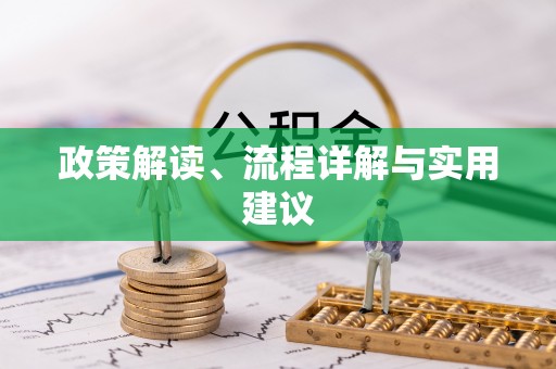 平原政策解读、流程详解与实用建议