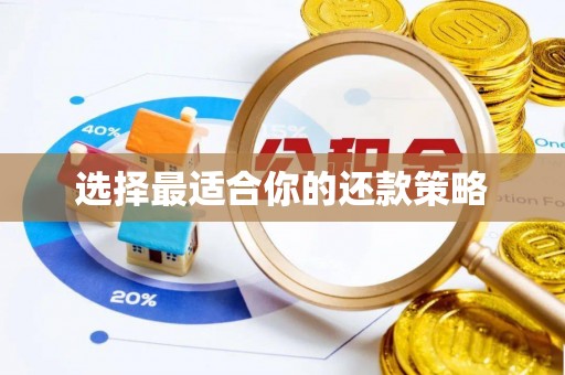 平原选择最适合你的还款策略