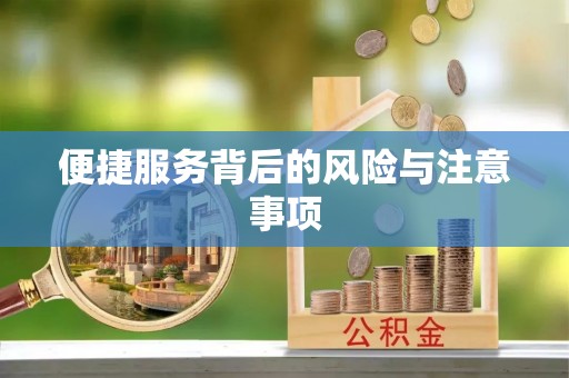 平原便捷服务背后的风险与注意事项